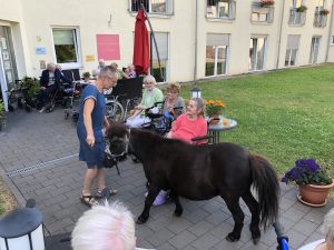 IMG_3131