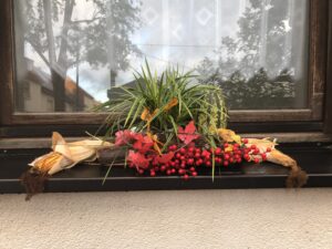 IMG_6853